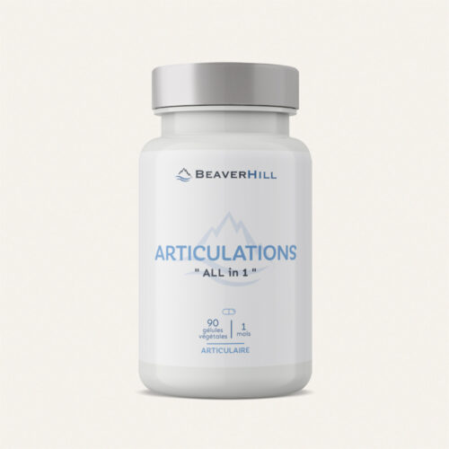 Articulations “All in 1” Pilulier de 90 gélules végétales