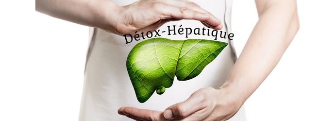 Comment détoxifier le foie ? - Blogue BEAVERHILL