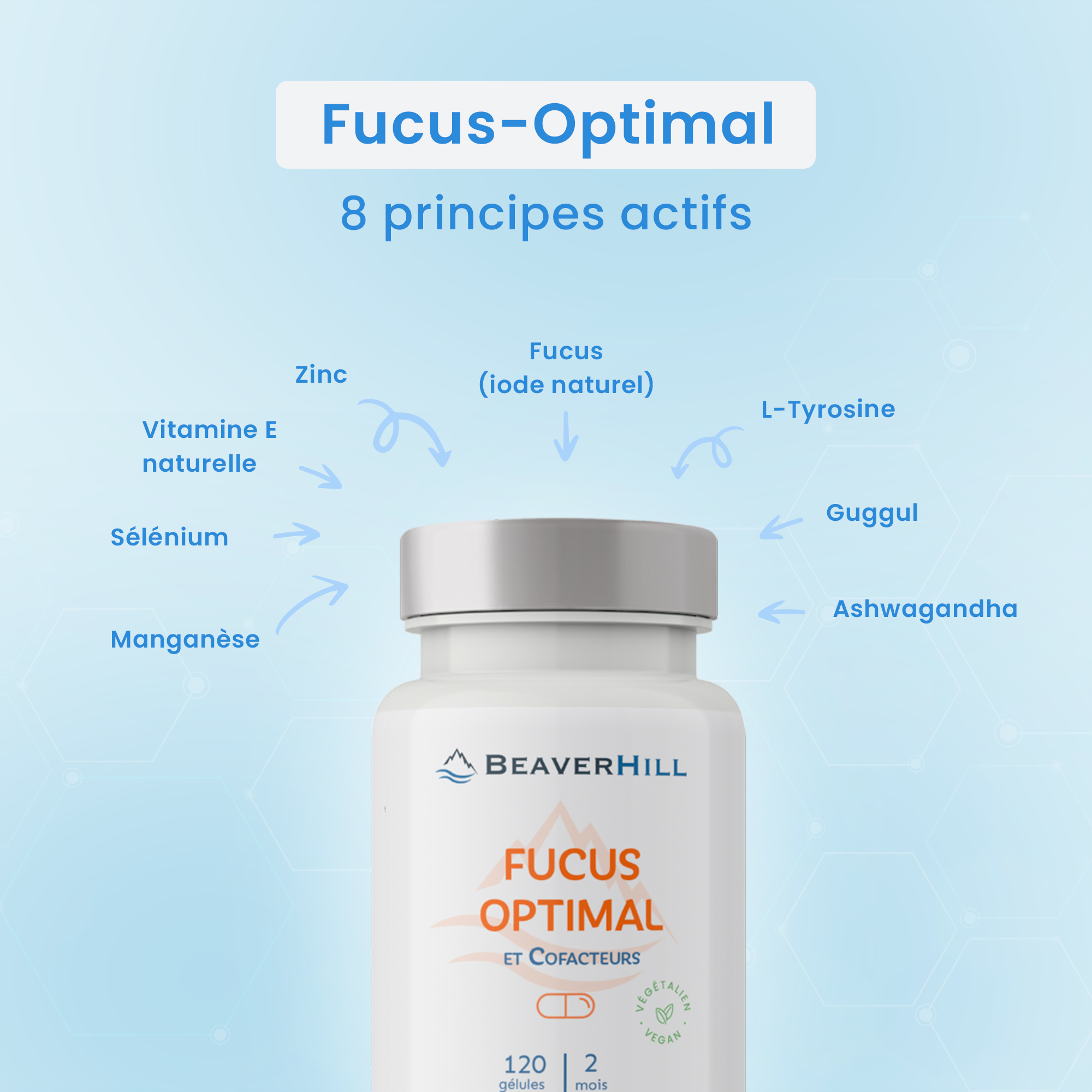 Fucus Optimal – Image 4
