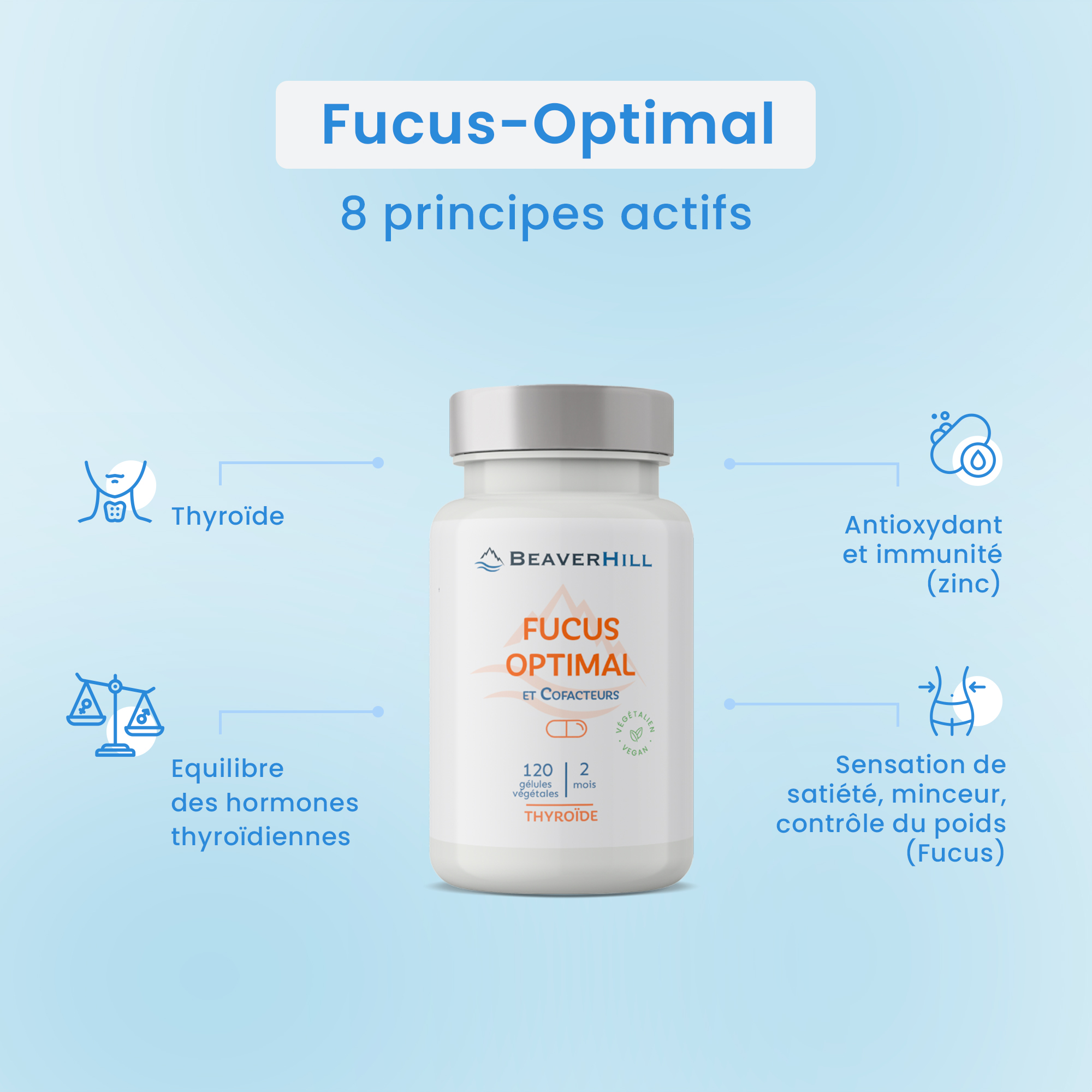 Fucus Optimal – Image 5