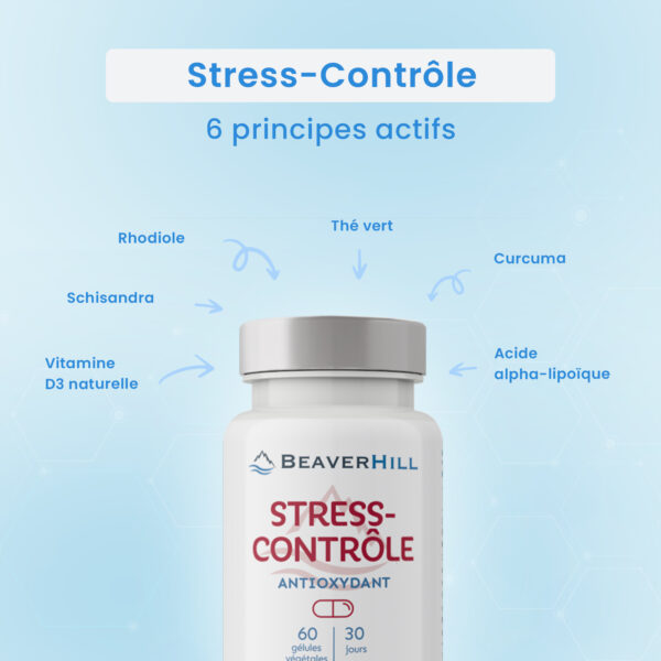Stress-Contrôle – Image 4